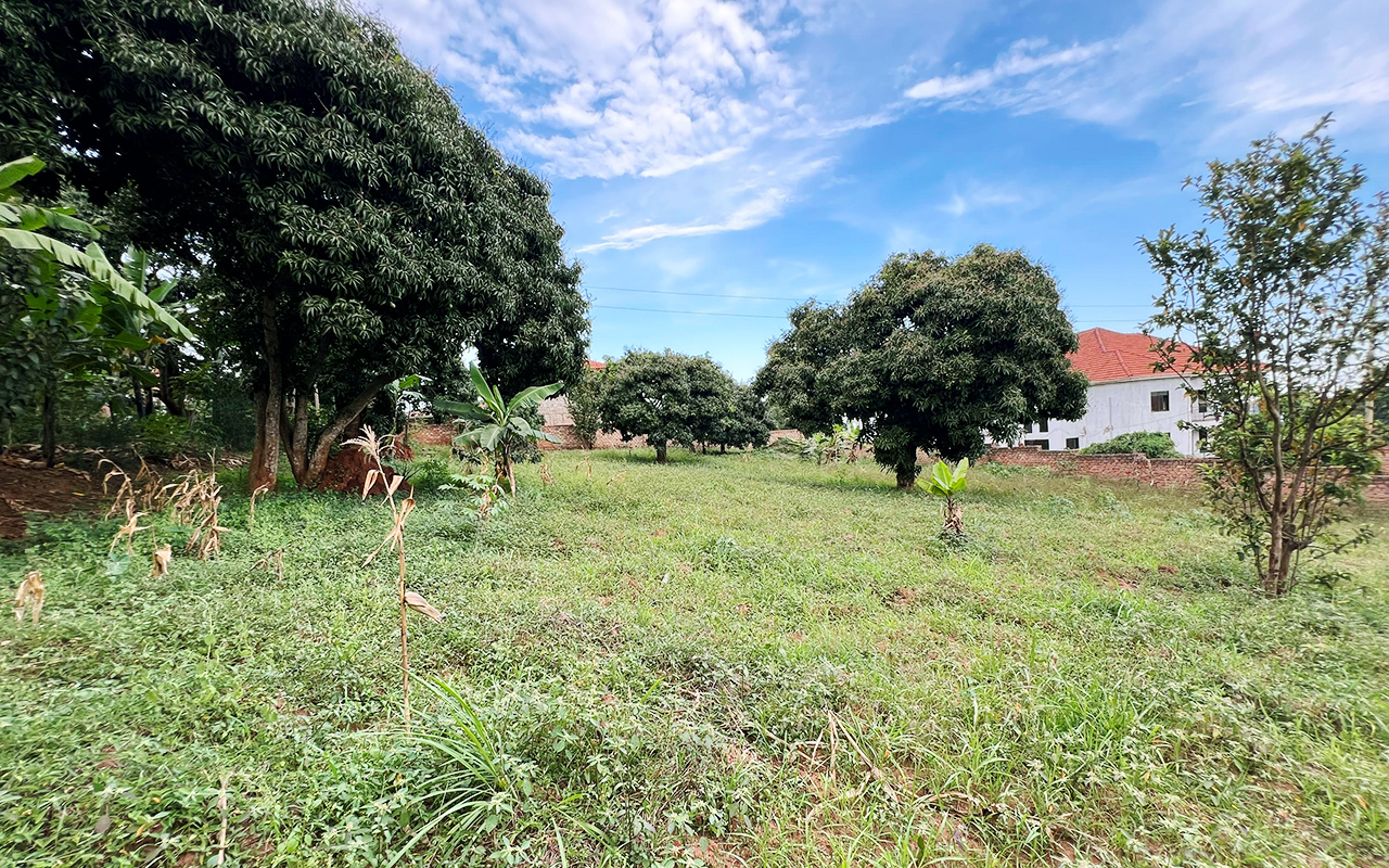 WhatsApp Image 2025-09-23 at 10.31.01.jpeg